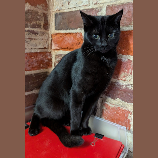 Photo of Gretel
