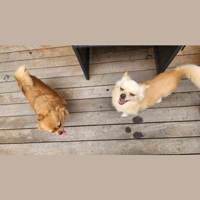 Photo of Reeba And Allan 