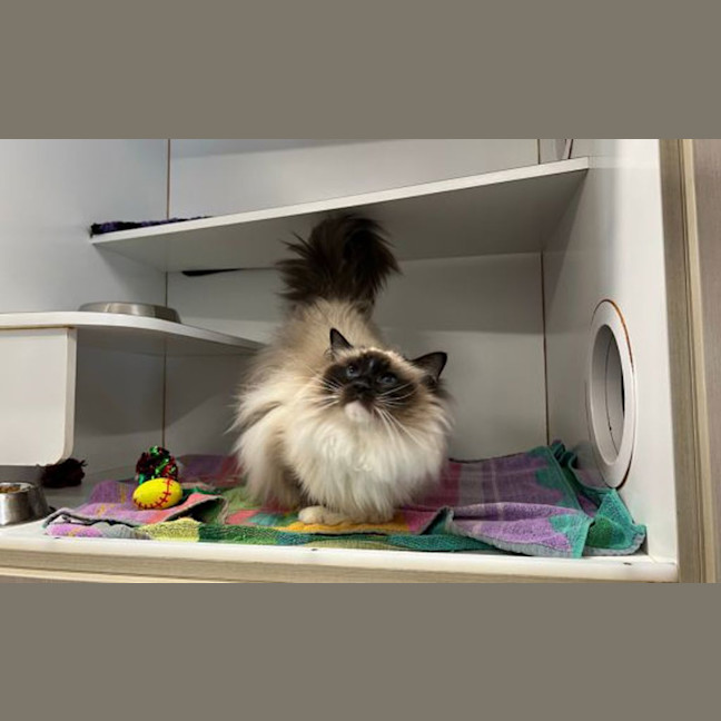 Photo of Missy