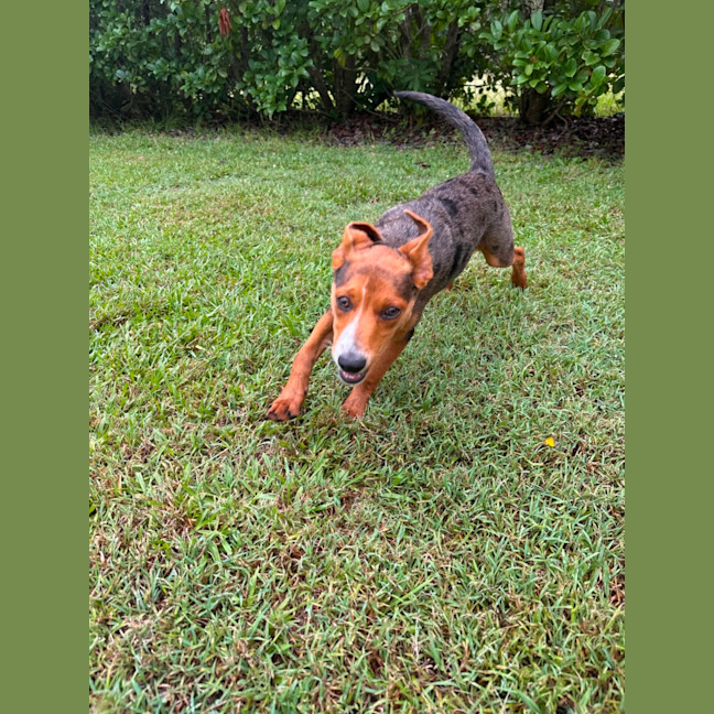 Photo of Sundae