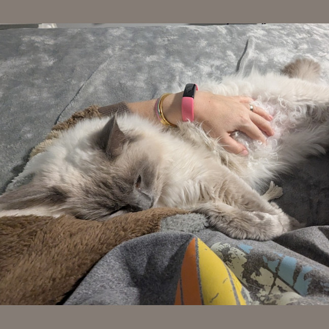 Photo of Tilly