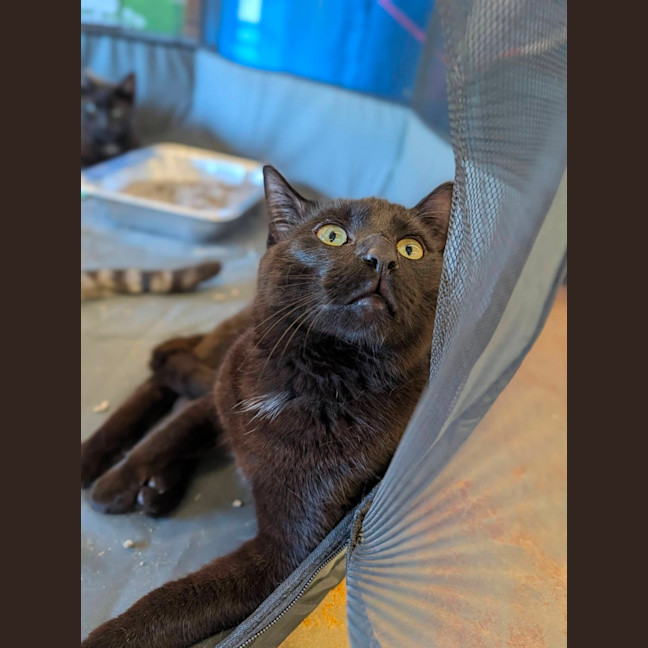 Photo of Xander