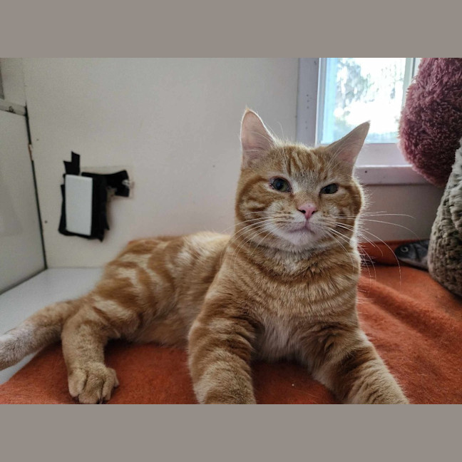 Photo of Kit   Mowbray
