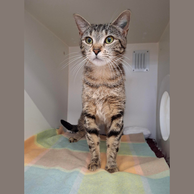 Photo of Miss Moneypenny