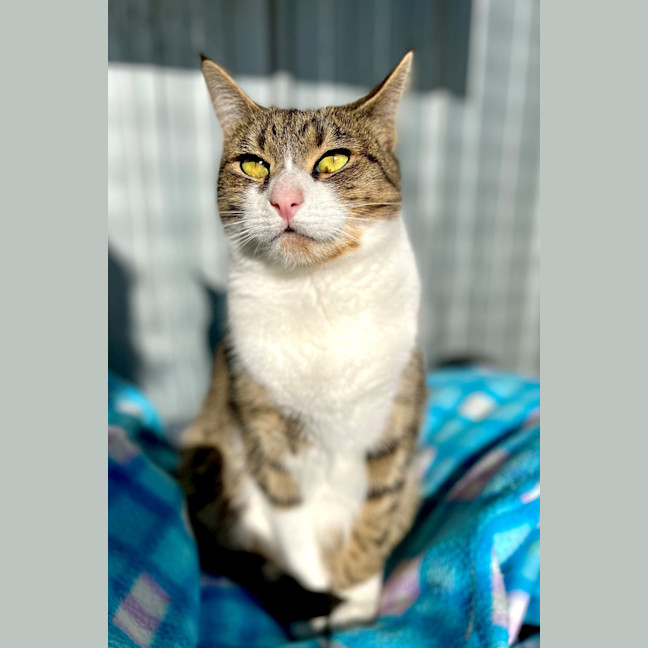 Photo of Mischief