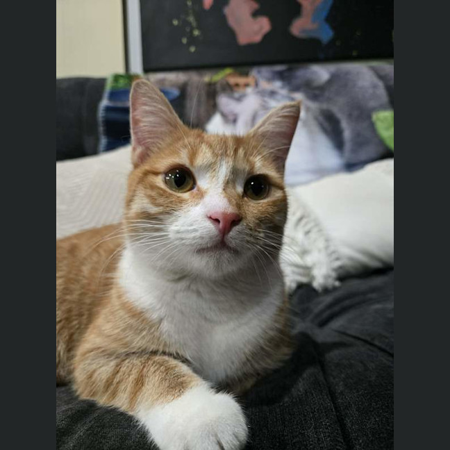 Photo of Lily