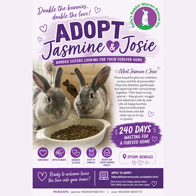 Photo of Jasmine And Josie