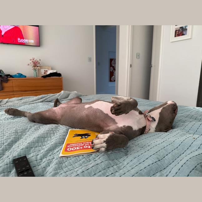 Photo of Bella