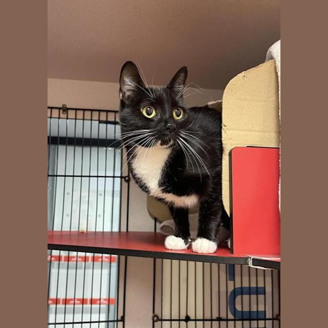 Photo of Princess