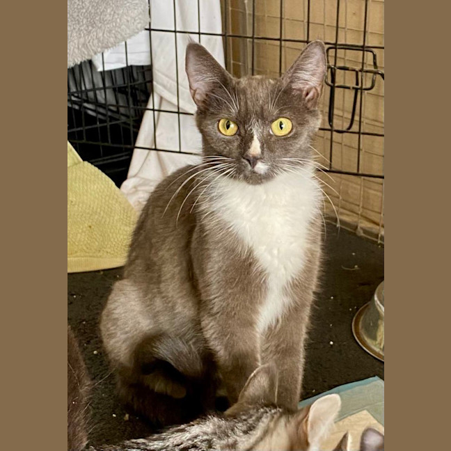 Photo of Edwina & Trixie