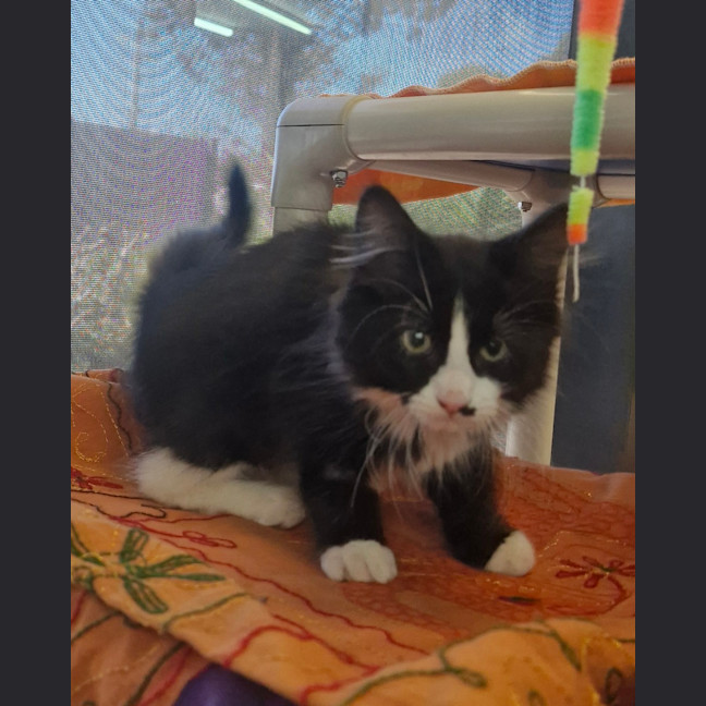 Photo of New Approach