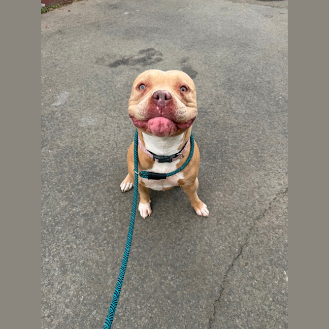 Photo of Nala