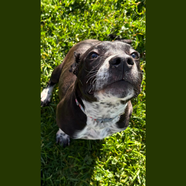 Photo of Pringle