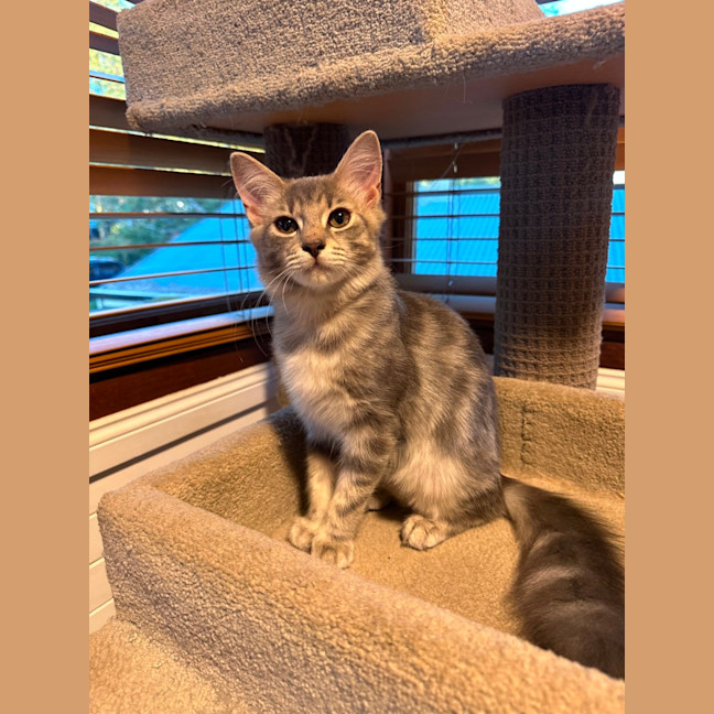 Photo of Jadzia
