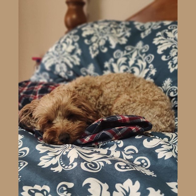 Photo of Maggie