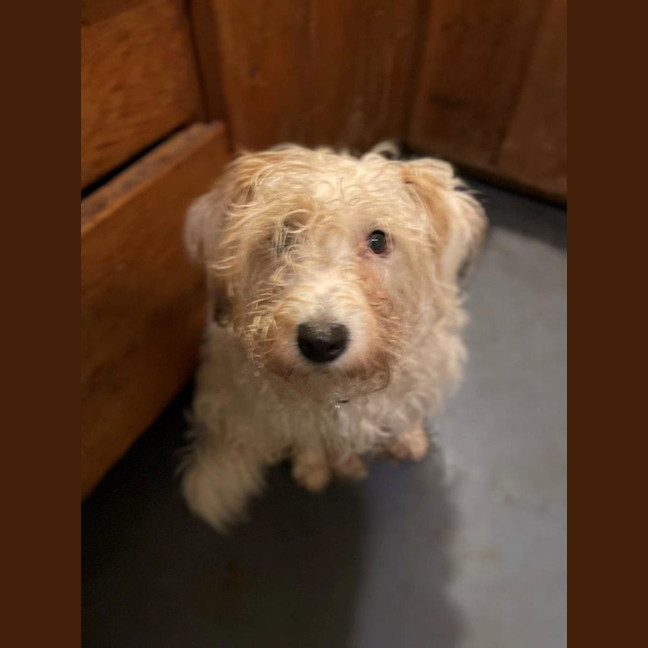 Photo of Rosie Valenti