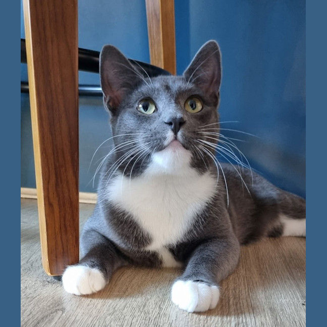 Photo of Spike