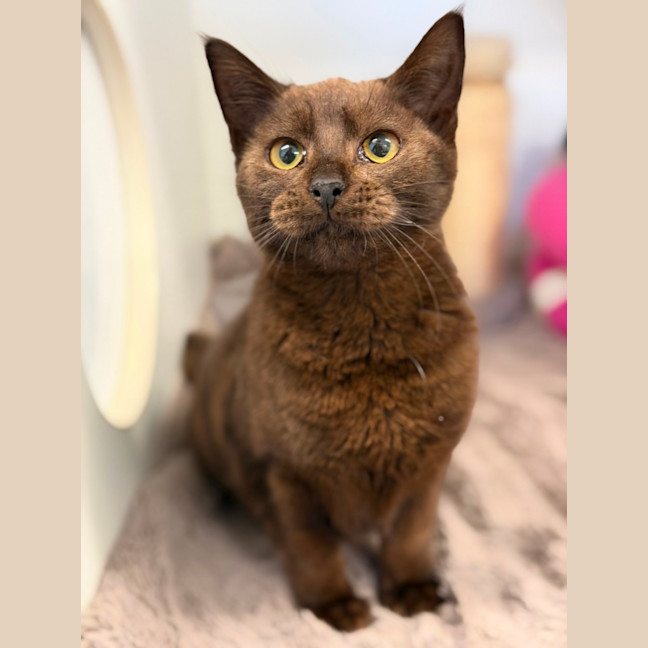 Photo of Hazel