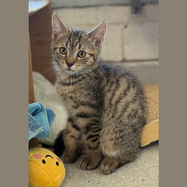 Photo of Percy