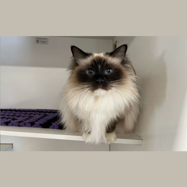 Photo of Missy