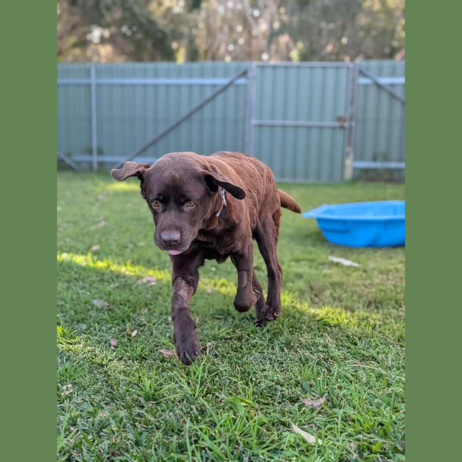 Photo of Coco