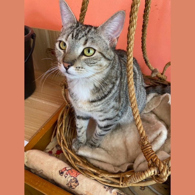 Photo of Nora