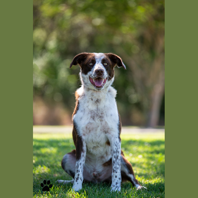 Photo of Mack