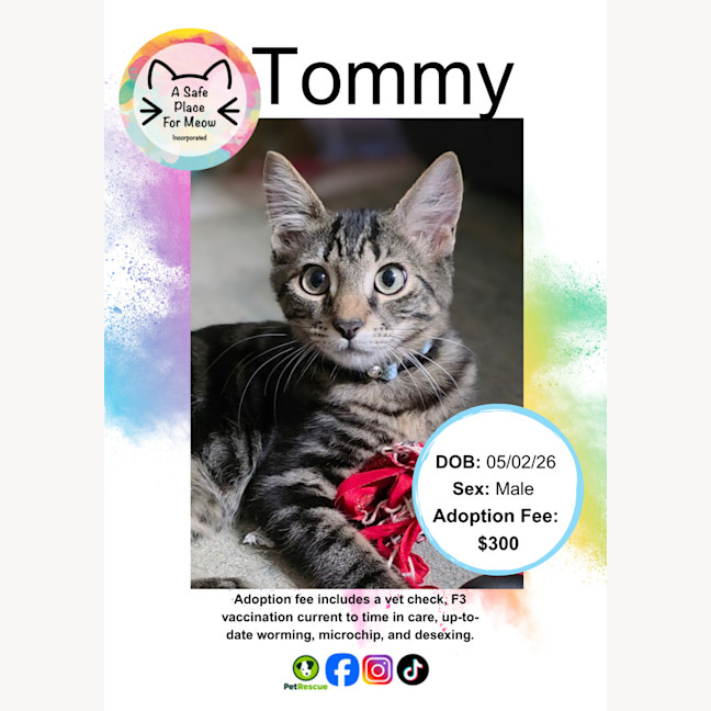Photo of Tommy