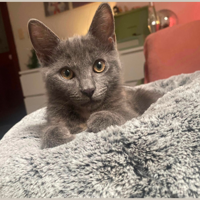 Photo of Chloe