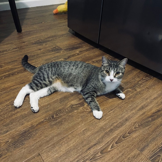 Photo of Ruby