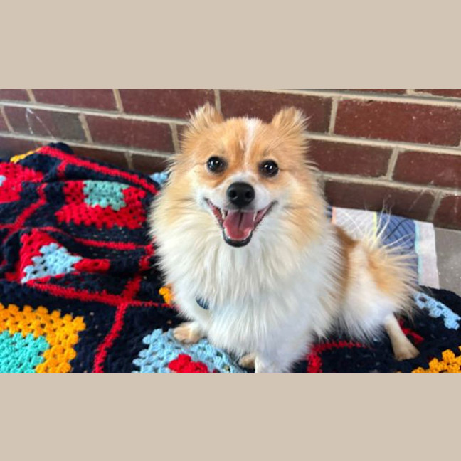 Photo of Marbles
