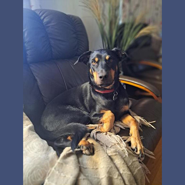 Photo of Leroy