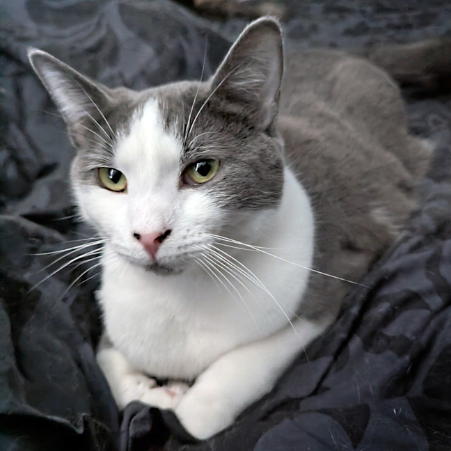 Photo of Buster