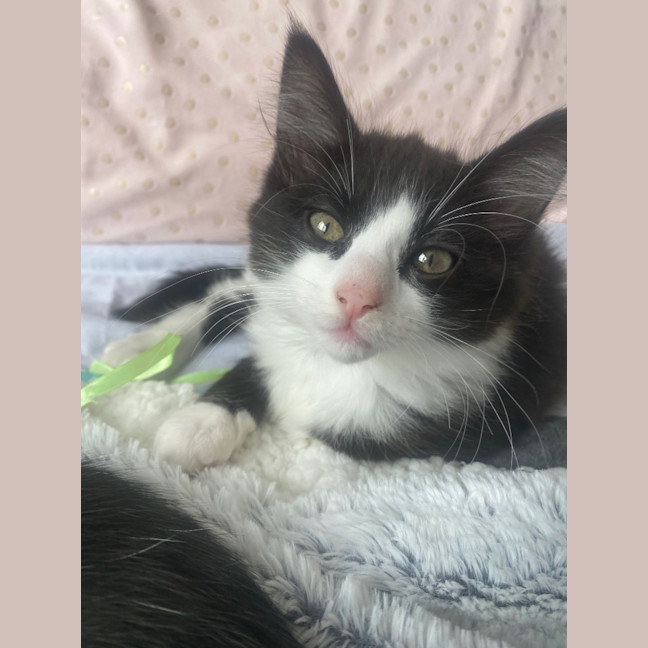 Photo of Bear Sanderson