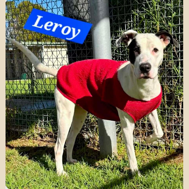 Photo of Leroy