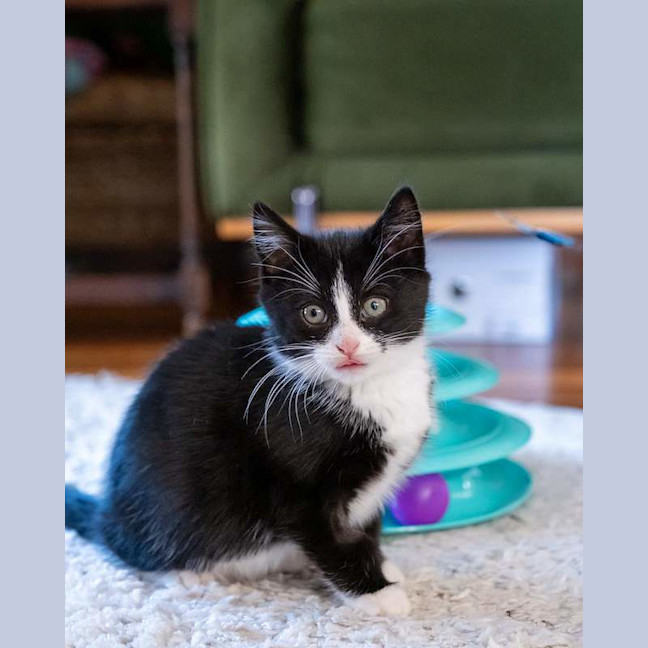 Photo of Timmy