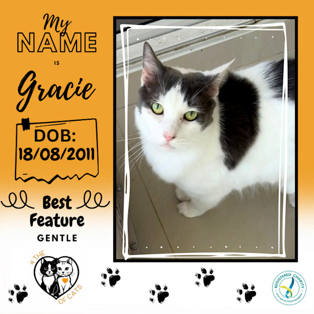 Photo of Gracie