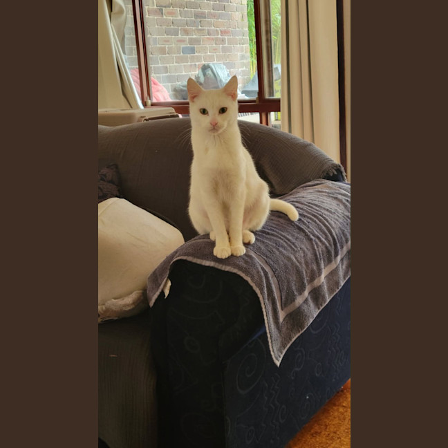 Photo of Skye