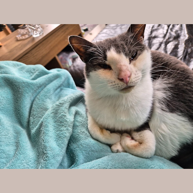 Photo of Stu / Sophie