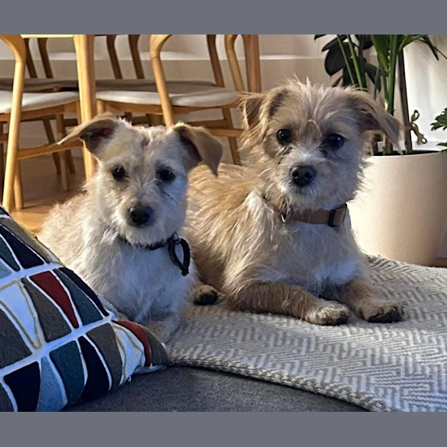 Photo of Baklava & Eclair 