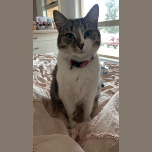 Photo of Kiara