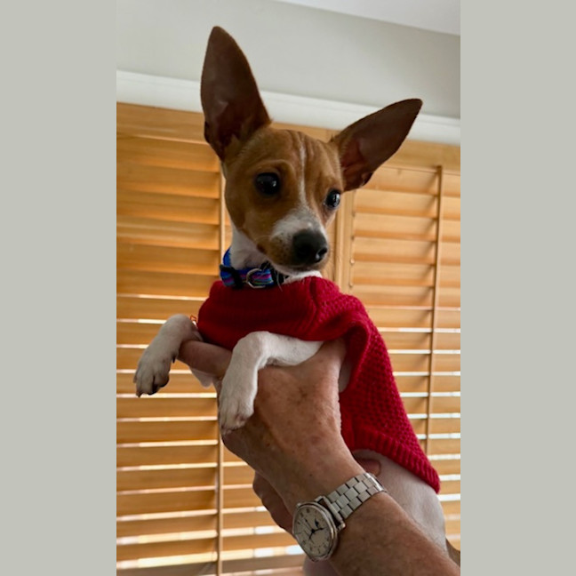 Photo of Pablo