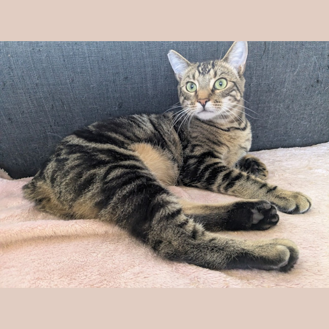 Photo of Spark