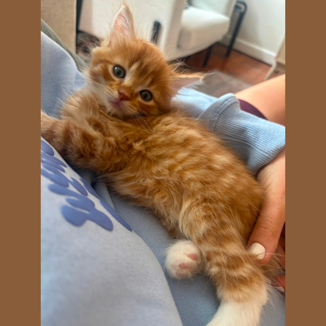 Photo of Bobby
