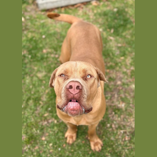 Photo of Maggie