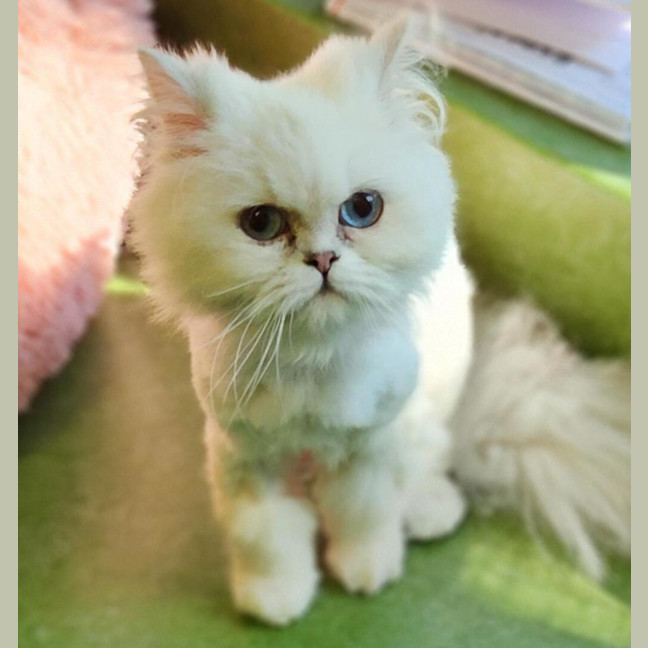 Photo of Doris