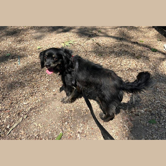 Photo of Tommy Allbright