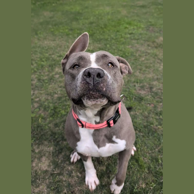 Photo of Suzie