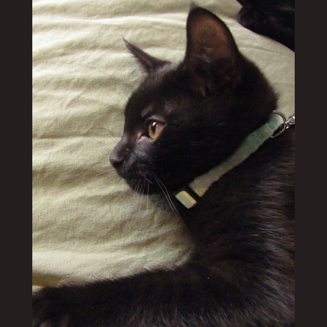 Photo of Truffle 