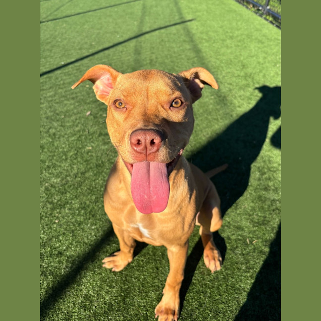 Photo of Zoe Imp 120